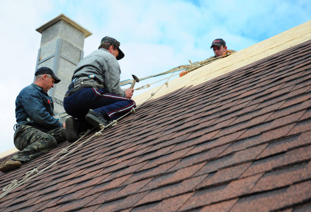 Best Roof Gutter Cleaning  in Pocatello, ID